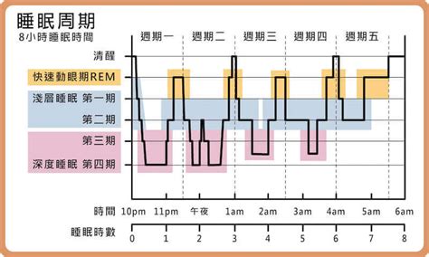 人一天睡眠時間|一天睡眠時間多久才健康長壽？日本醫學博士：睡10小。